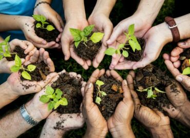 Plant with us the Forest of Good Will’. The GUV is the campaign partner for this project