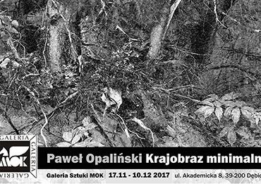 Wystawa „Krajobraz minimalny” dra hab. Pawła Opalińskiego