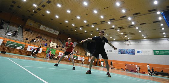 badminton, boisko, sportowcy